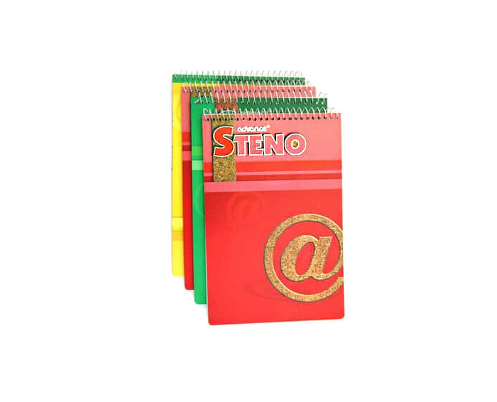 Advance steno notebook assorted