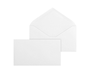 Classic White Local No. 6 3/4xx Mailing Envelope