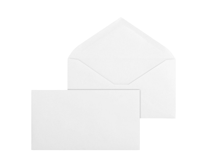 Classic White Local No. 6 3/4xx Mailing Envelope