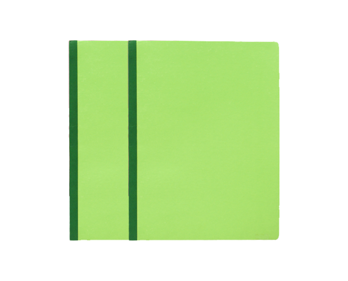 US imported pressboard folder long green