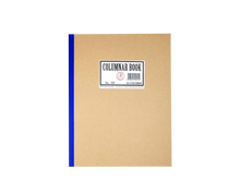 Load image into Gallery viewer, VAECO #707 Columnar Notebook
