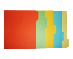 colored folder divider short