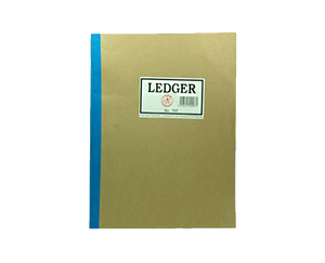 VAECO #707 Ledger Notebook